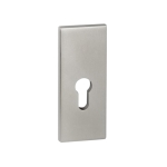 Szyld górny R81 wkładka Klasa I inox