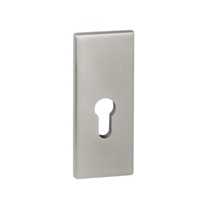 Szyld górny R81 wkładka Klasa I inox