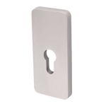 Szyld górny R78 wkładka Klasa I inox