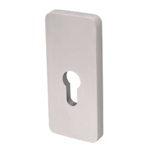 Szyld górny R78 wkładka Klasa I inox